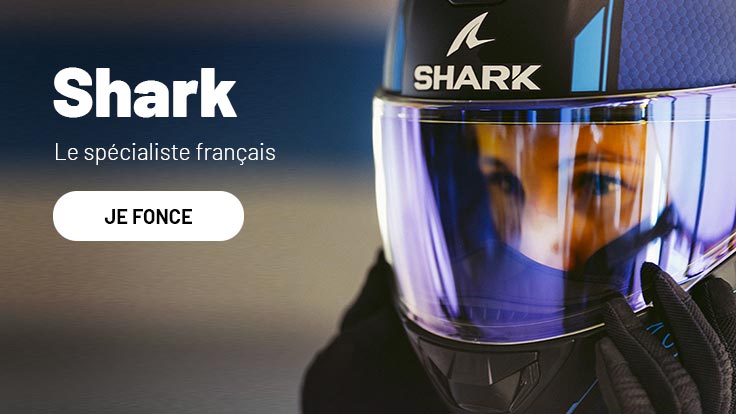 Shark