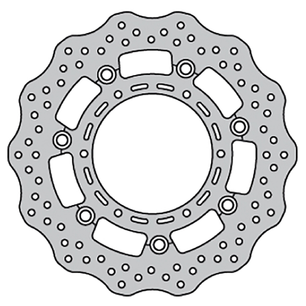 Disque de frein FE.FL30509V