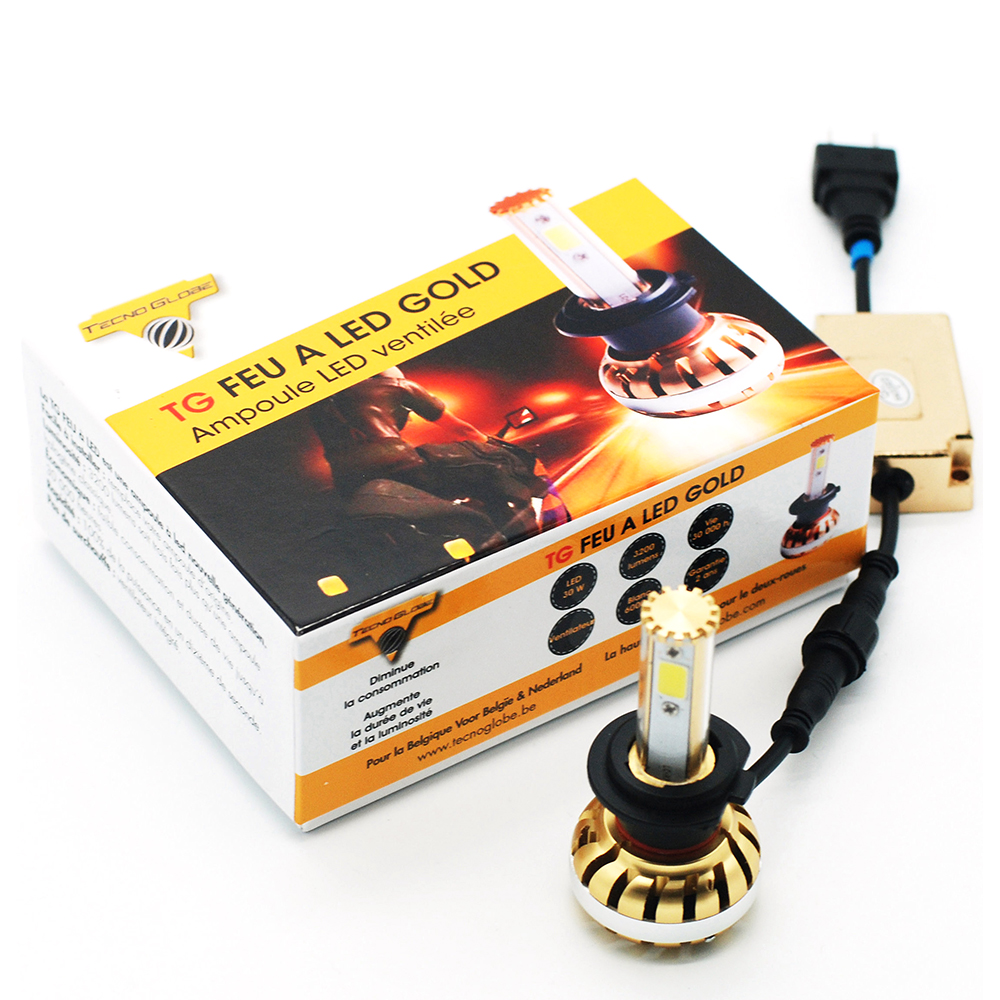 Ampoule Feu à LED Gold H11