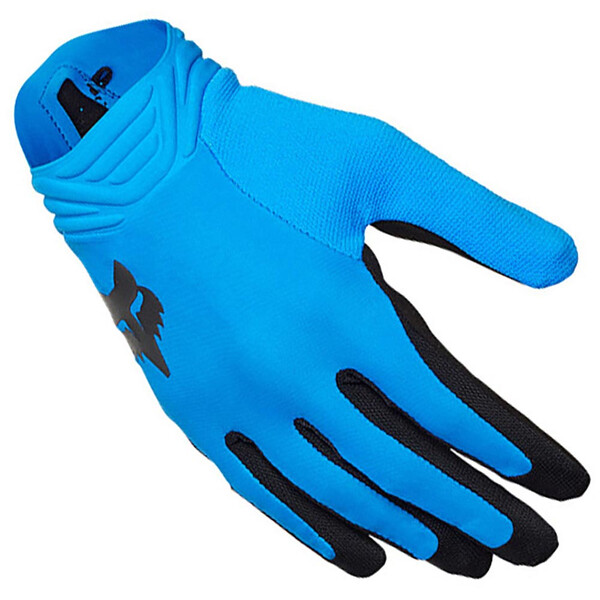 Gants Airline