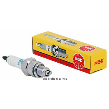 Dafy Moto - Ampoule BA20D 12V35W Incolore