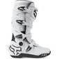 Bottes Motion - 2024