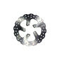 Disque de frein Aprilia DIS1009W