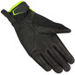 Gants Nassau