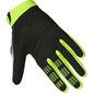 Gants 180 Collect