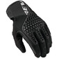 Gants Mangrove 2