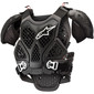 parre-pierres-moto-alpinestars-bionic19-noir-gris-1.jpg