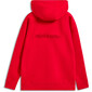 Sweat à capuche Emergent Oversized