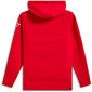 Sweat à capuche Linear Wordmark V3