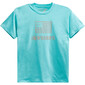 t-shirt-alpinestars-flag-turquoise-1.jpg