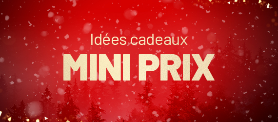 Idées cadeaux mini prix